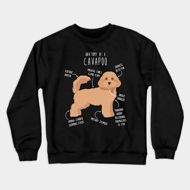 Cavapoo Dog Anatomy Crewneck Sweatshirt by Psitta